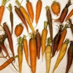 440px-CarrotDiversityLg